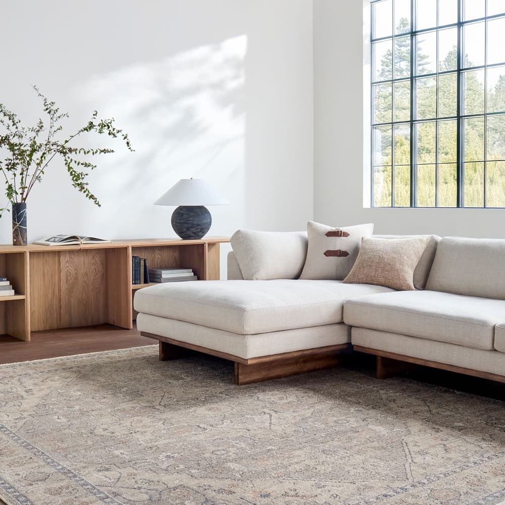 Maria Elena Polyester Machine Woven Rug by Galey Alix for Livabliss - Image 2