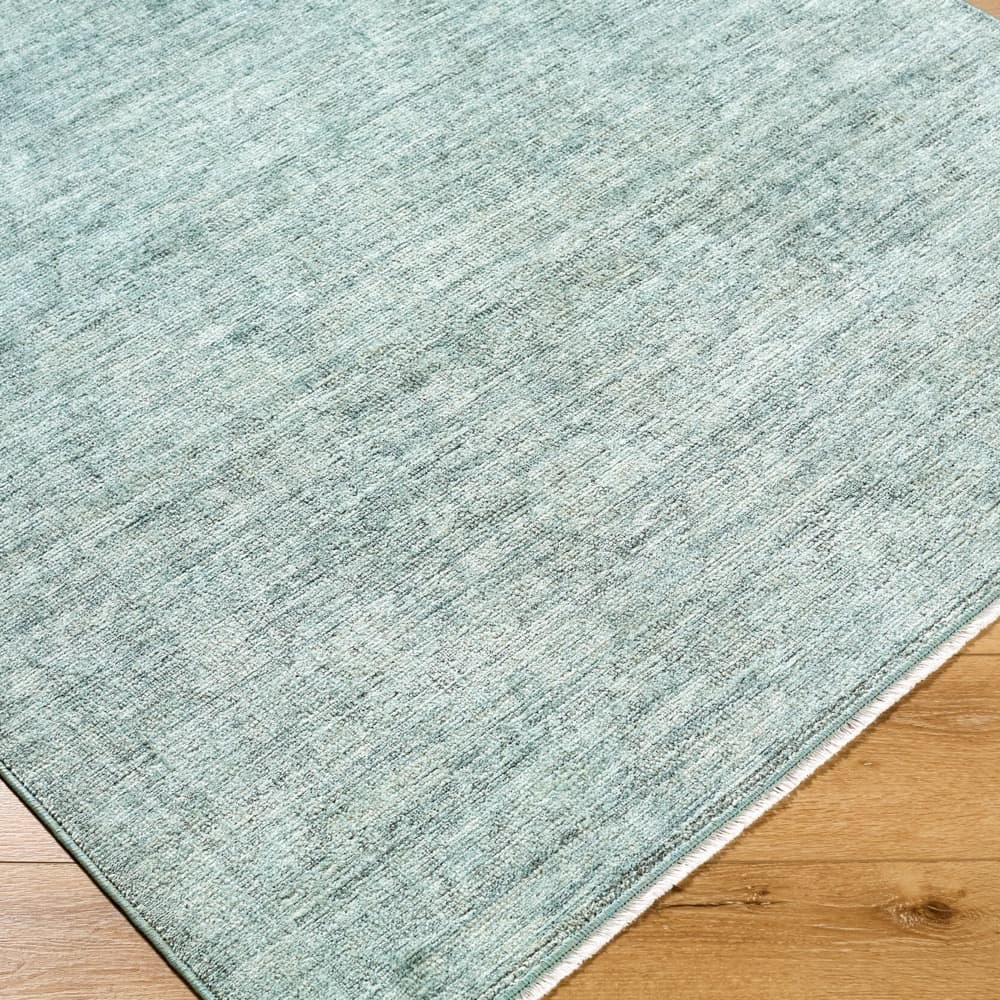 Maria Elena Polyester Machine Woven Rug by Galey Alix for Livabliss - Image 3