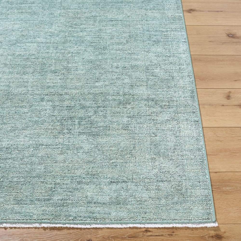 Maria Elena Polyester Machine Woven Rug by Galey Alix for Livabliss - Image 4