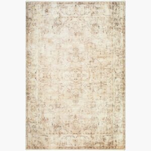 Fetscher Polyester Machine Woven Rug by Galey Alix for Livabliss