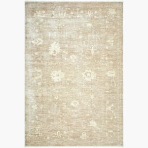 Fetscher Polyester Machine Woven Rug by Galey Alix for Livabliss