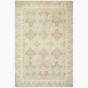 Fetscher Polyester Machine Woven Rug by Galey Alix for Livabliss