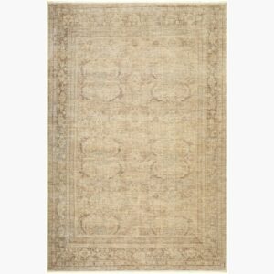 Fetscher Polyester Machine Woven Rug by Galey Alix for Livabliss