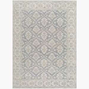 Aram Polyester Machine Woven Rug by Nabela Noor Home for Livabliss