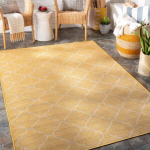Outdoor Rugs