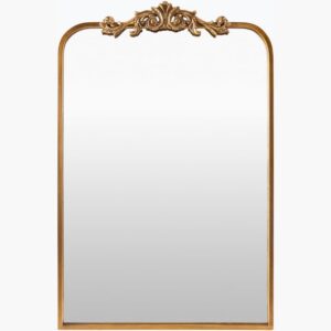 Aarlen Iron Accent Mirror by Livabliss