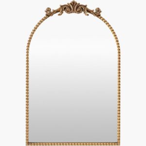 Aarlen Iron Accent Mirror by Livabliss