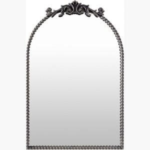 Aarlen Iron Accent Mirror by Livabliss
