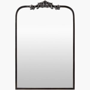 Aarlen Iron Accent Mirror by Livabliss