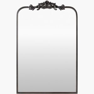 Aarlen Iron Accent Mirror by Livabliss