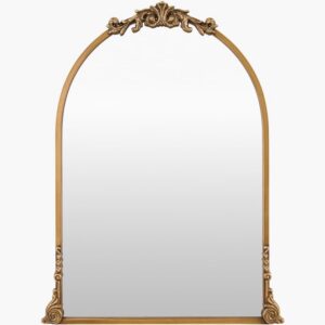 Aarlen Iron Accent Mirror by Livabliss