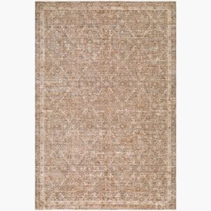 The Vintage Edit II Polyester Machine Woven Rug by Rachel Zoe for Livabliss