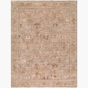 The Vintage Edit II Polyester Machine Woven Rug by Rachel Zoe for Livabliss