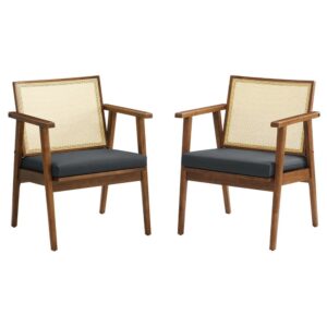 Thera Vegan Leather and Cane Accent Armchairs Set of 2 in Walnut Black by Modway