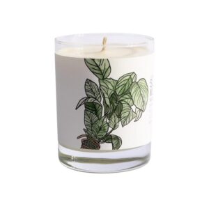 Summer Mint Candle by Just Bee Candles