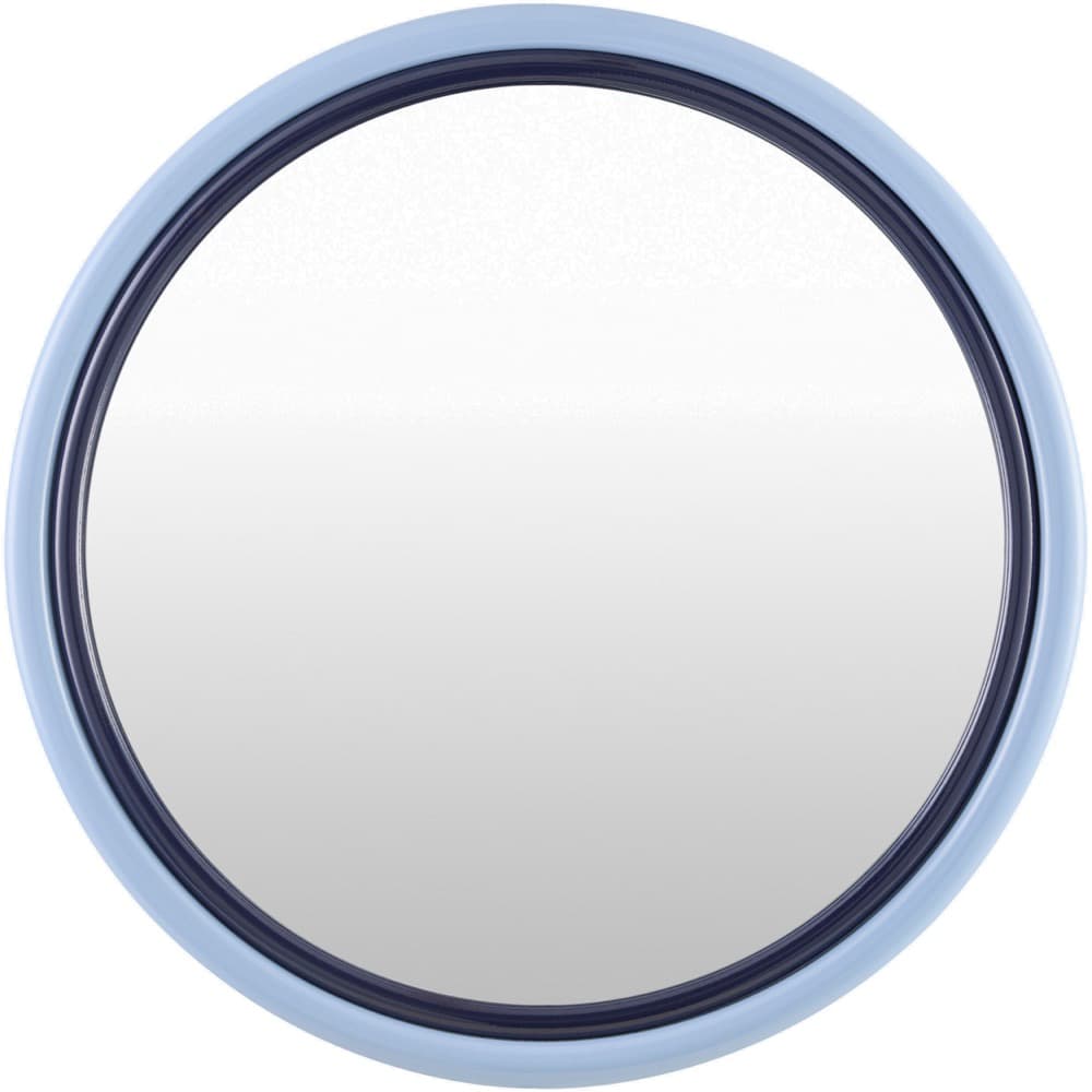 Banou Manufactured Wood Accent Mirror in Blue by Livabliss