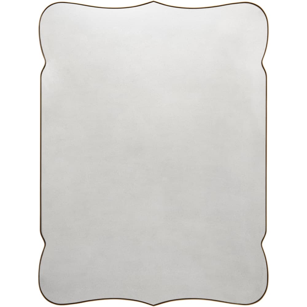 Imelda Iron Accent Mirror in Gold by Livabliss