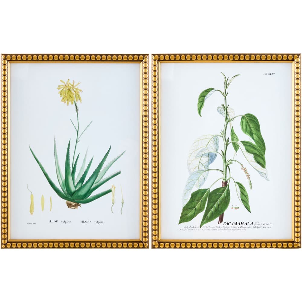 Midsummer Framed Art Set by Livabliss