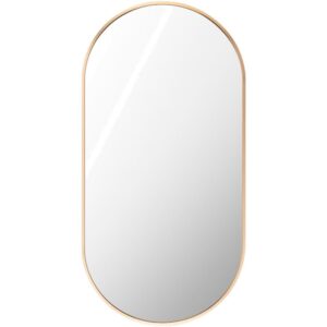 Aranya Aluminum Accent Mirror in Gold by Livabliss