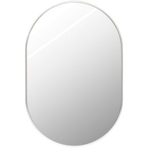 Aranya Aluminum Accent Mirror in Metallic Silver by Livabliss