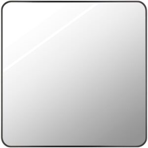 Aranya Aluminum Accent Mirror in Black by Livabliss