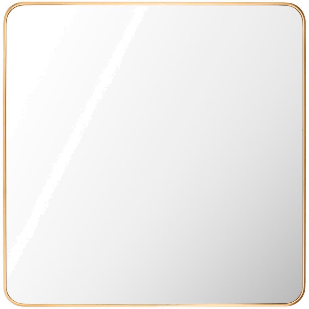 Aranya Aluminum Accent Mirror in Gold by Livabliss