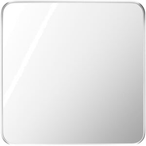 Aranya Aluminum Accent Mirror in Metallic Silver by Livabliss