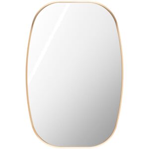 Aranya Aluminum Accent Mirror in Gold by Livabliss