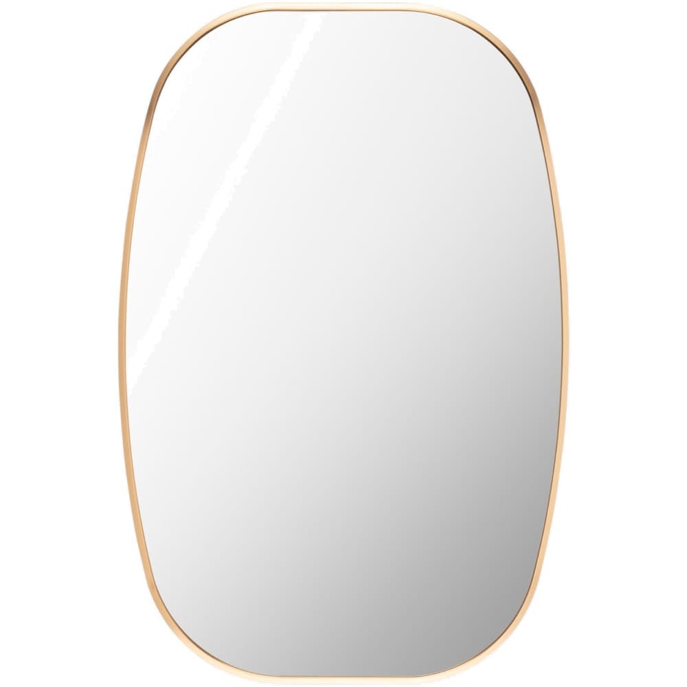 Aranya Aluminum Accent Mirror in Gold by Livabliss
