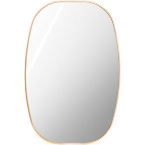 Aranya Aluminum Accent Mirror in Gold by Livabliss