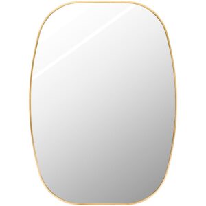Aranya Aluminum Accent Mirror in Gold by Livabliss