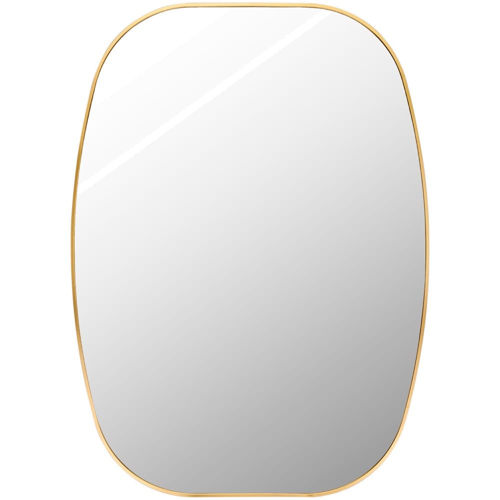 Aranya Aluminum Accent Mirror in Gold by Livabliss