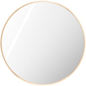 Aranya Aluminum Accent Mirror in Gold by Livabliss