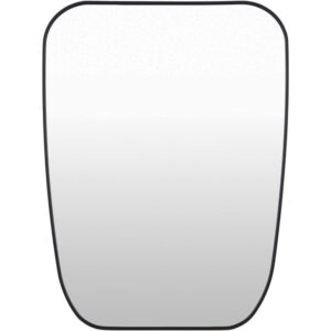 Aranya Aluminum Accent Mirror in Black by Livabliss