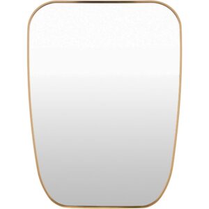 Aranya Aluminum Accent Mirror in Gold by Livabliss