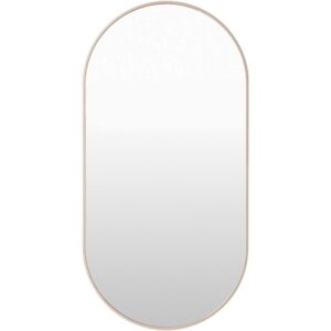 Aranya Aluminum Accent Mirror in Brown by Livabliss