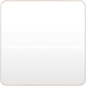 Aranya Aluminum Accent Mirror in Brown by Livabliss