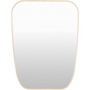 Aranya Aluminum Accent Mirror in Brown by Livabliss