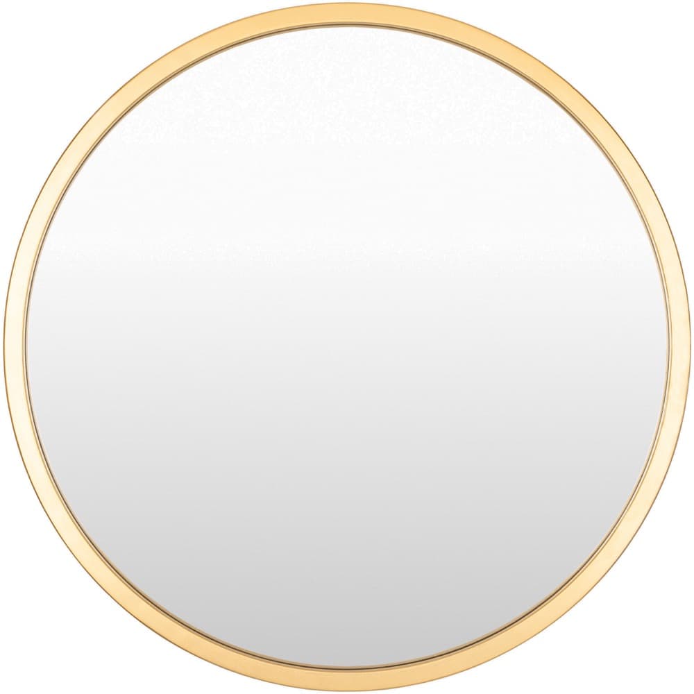 Carmen Iron Accent Mirror in Gold by Livabliss