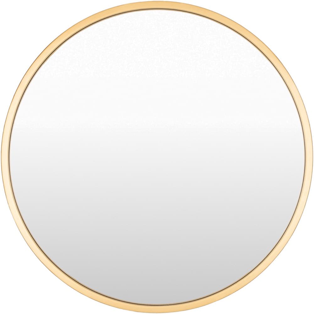 Carmen Iron Accent Mirror in Gold by Livabliss