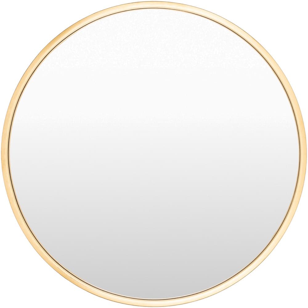 Carmen Iron Accent Mirror in Gold by Livabliss