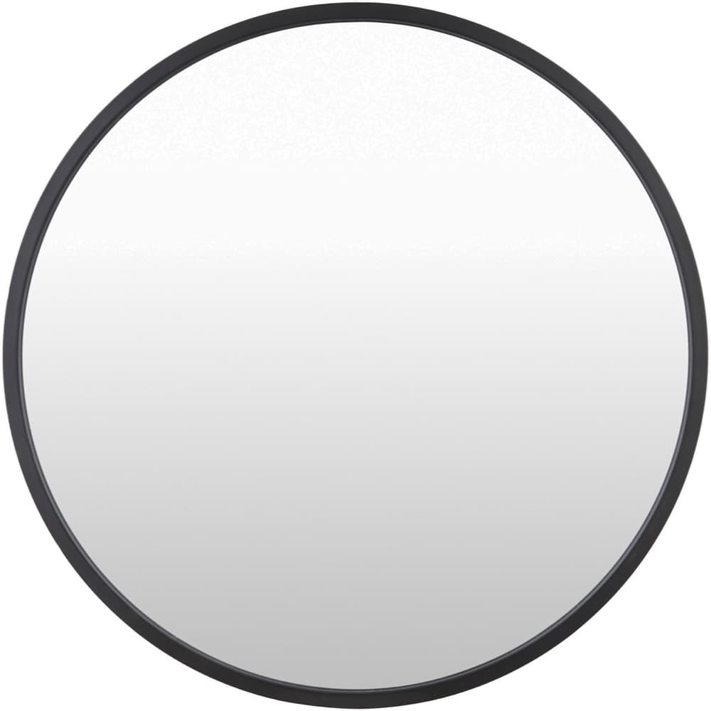 Carmen Iron Accent Mirror in Black by Livabliss