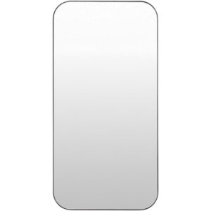 Auburn Iron Accent Mirror in Black by Livabliss