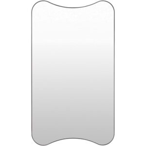 Auburn Iron Accent Mirror in Black by Livabliss