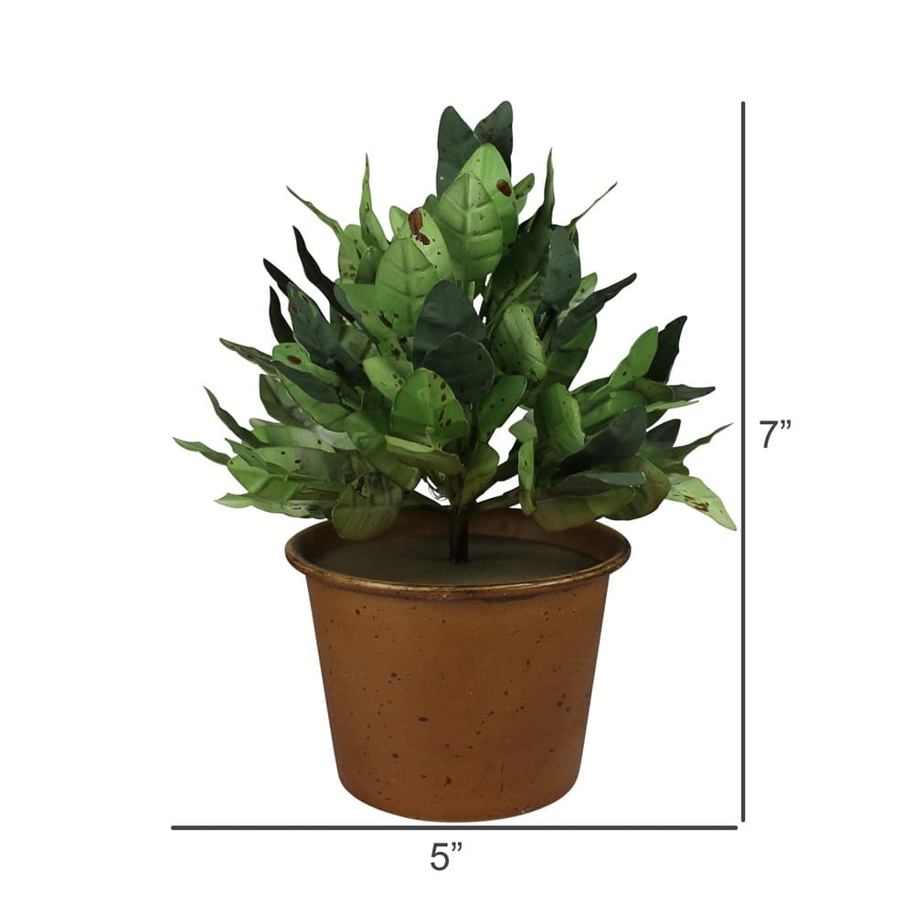 Potted Aluminum Painted Greens by HomArt - Image 2