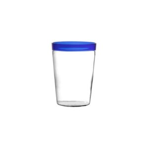 Tarifa Blue Drinking Glass 10 fl oz Borosilicate Glass by Pomax