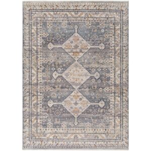 Aida Medium Gray Machine Woven Rug by Livabliss
