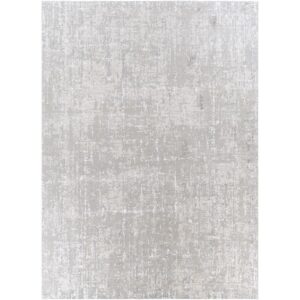 Aisha Light Gray Machine Woven Rug by Livabliss