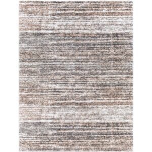 Aliyah Shag Brown Machine Woven Rug by Livabliss
