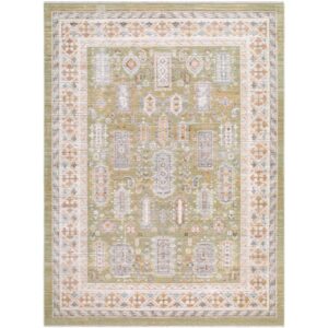 Amir Sage Machine Woven Rug by Livabliss